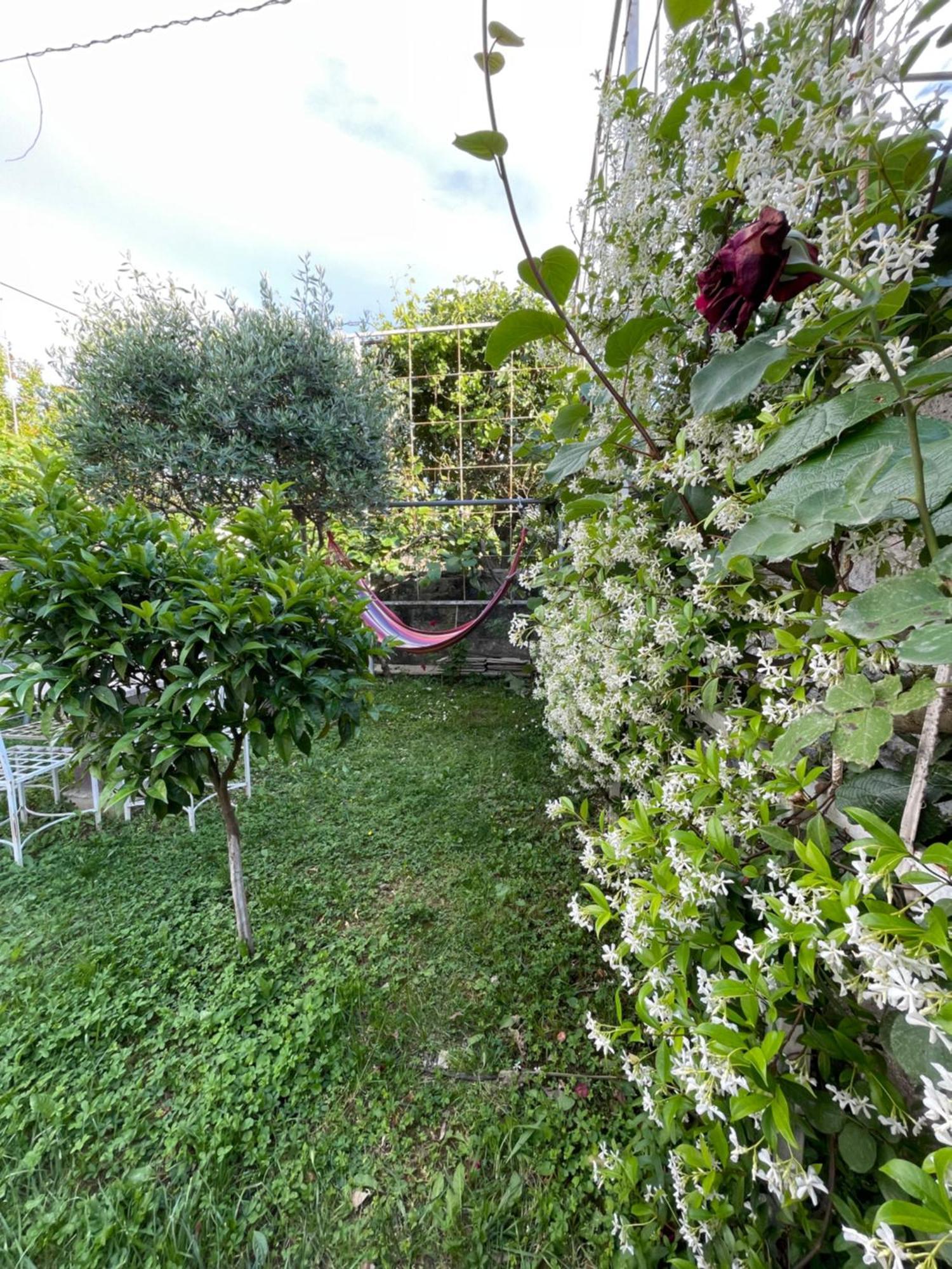 Vila Nela Шкодер Экстерьер фото